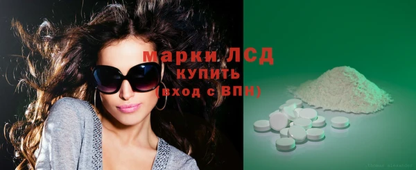 сатива Бугульма