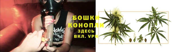 PSILOCYBIN Верея