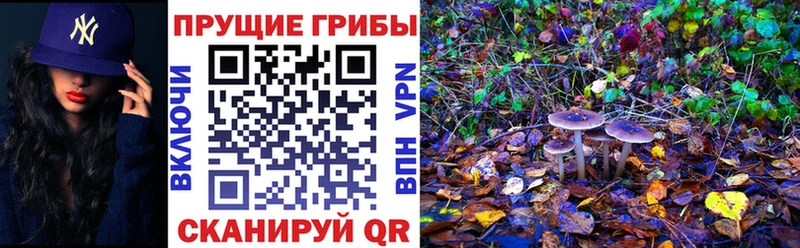 Галлюциногенные грибы мухоморы Купить Городовиковск